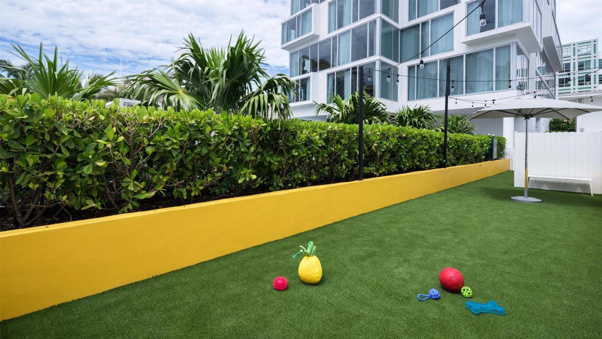 Hyatt Centric South Miami Hotel Miami Beach