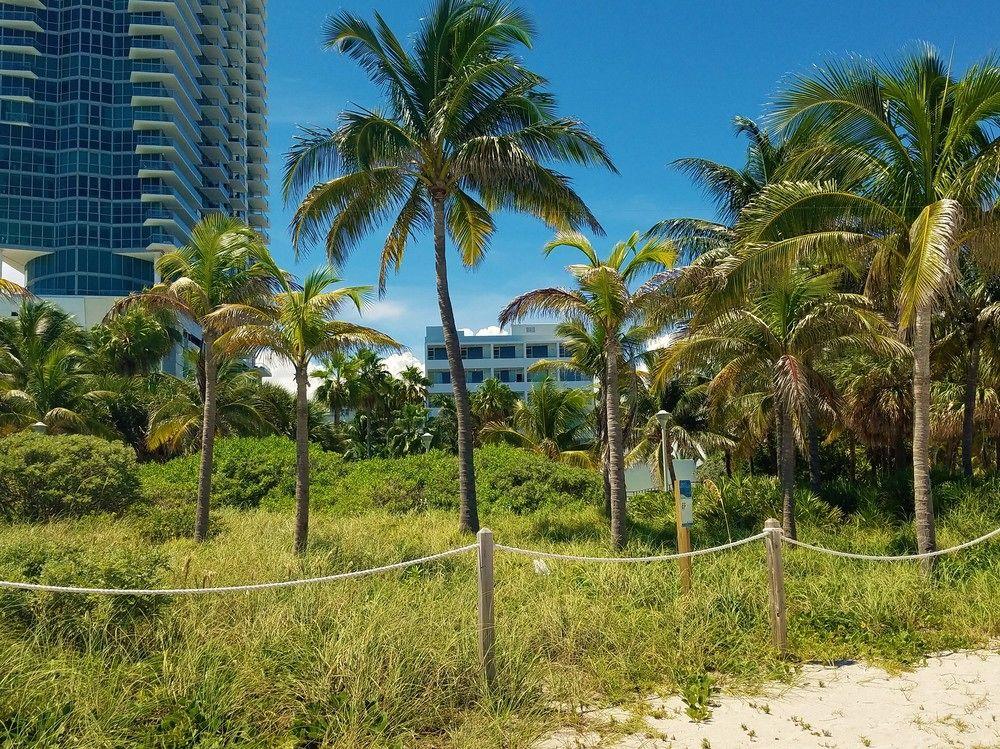 Hotel Seagull Miami