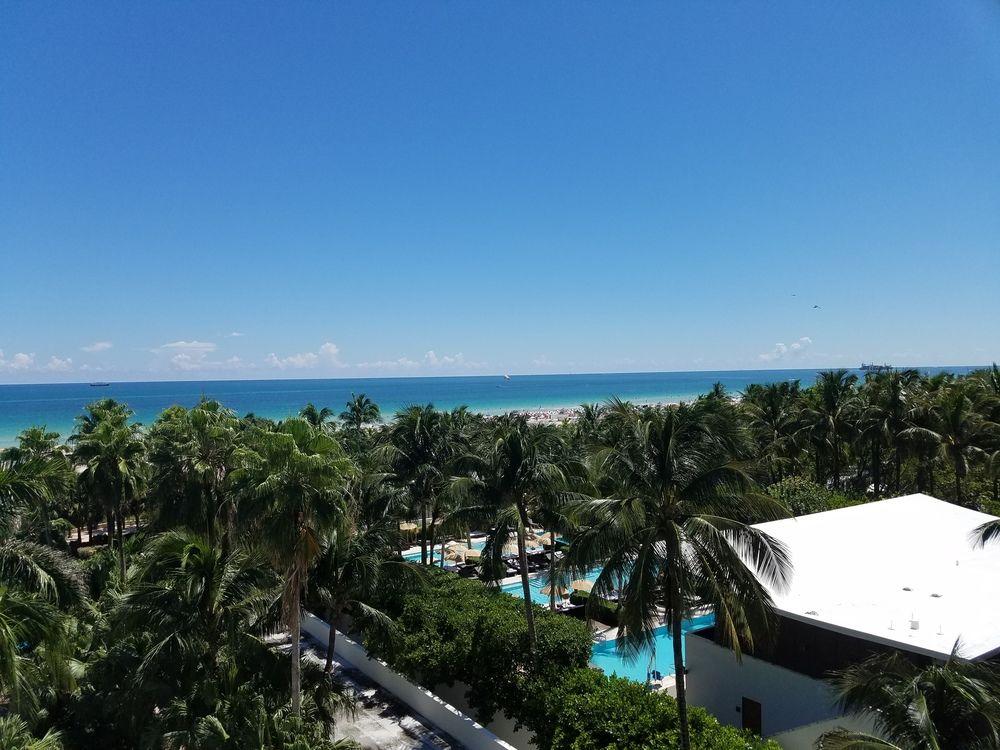 Seagull Miami Hotel
