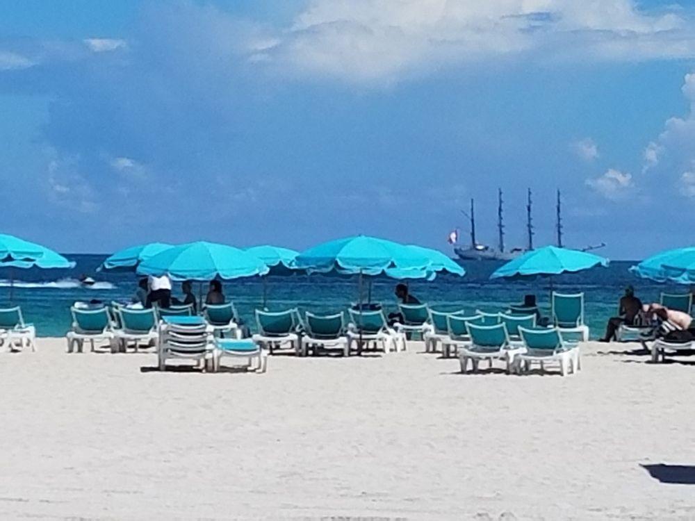 Seagull Miami 2*