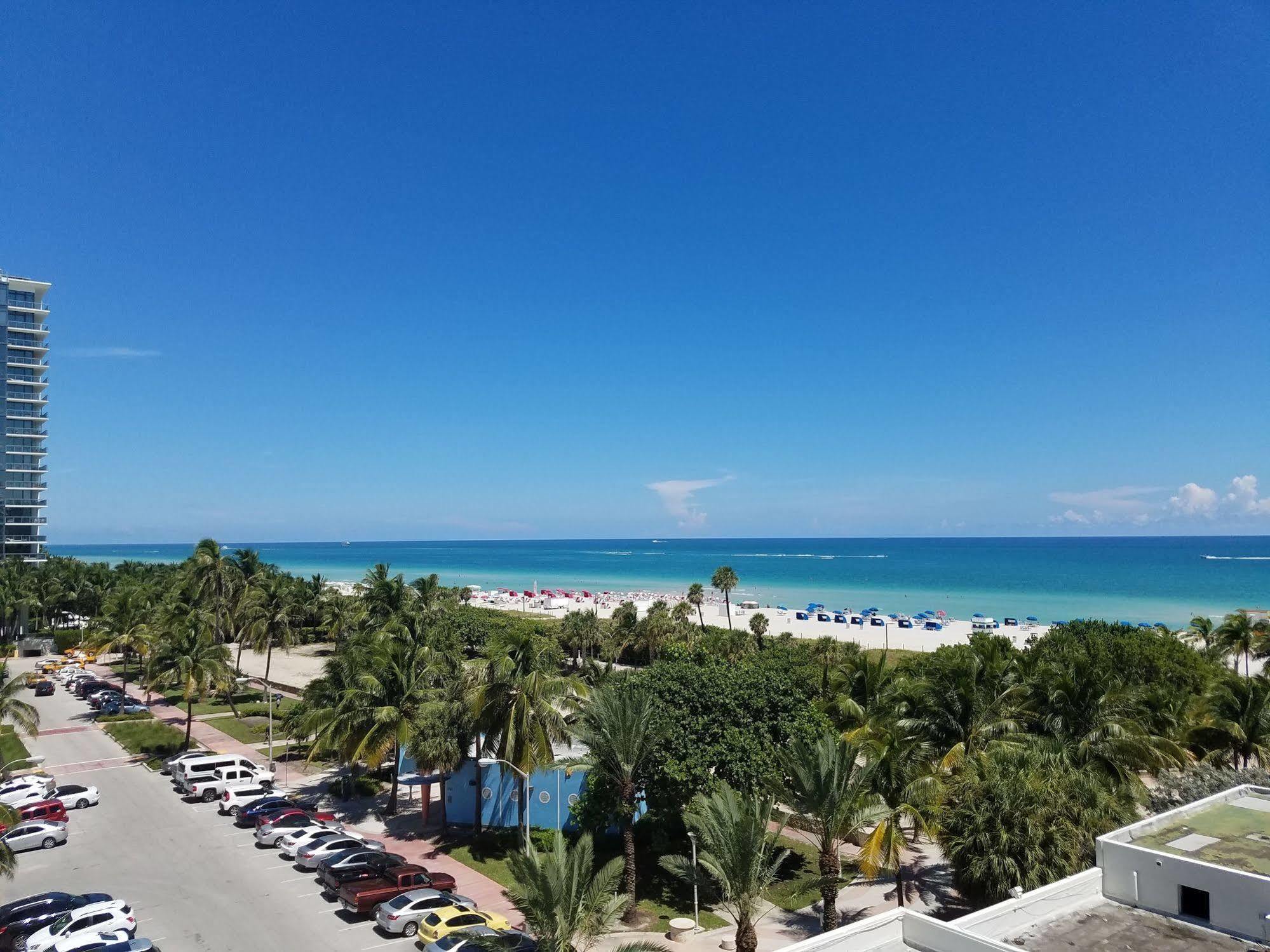 Seagull Miami Miami Beach