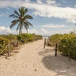 Agave On The Beach By Renzzi
