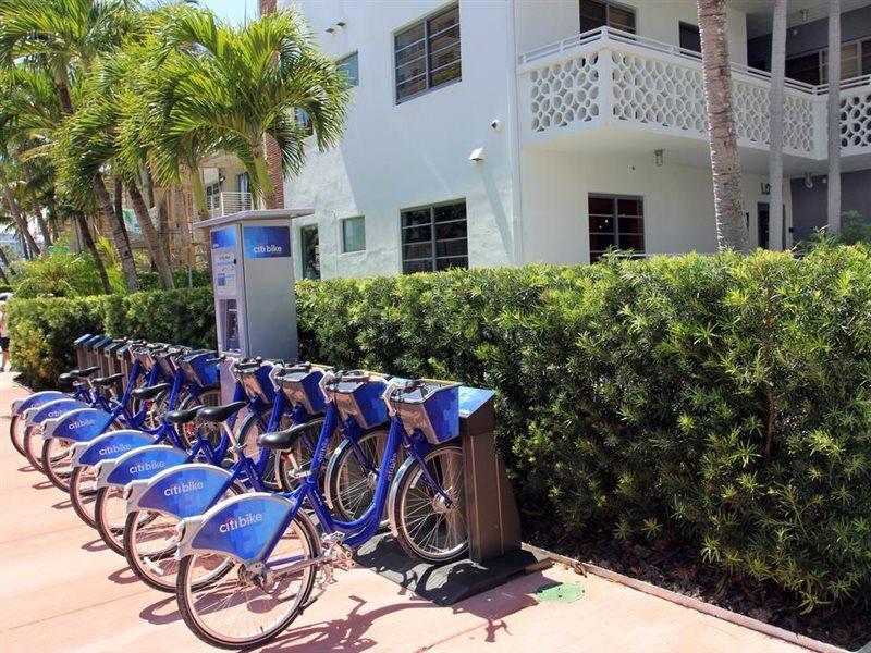 Gaythering - Gay - Adults Welcome 4* Miami Beach