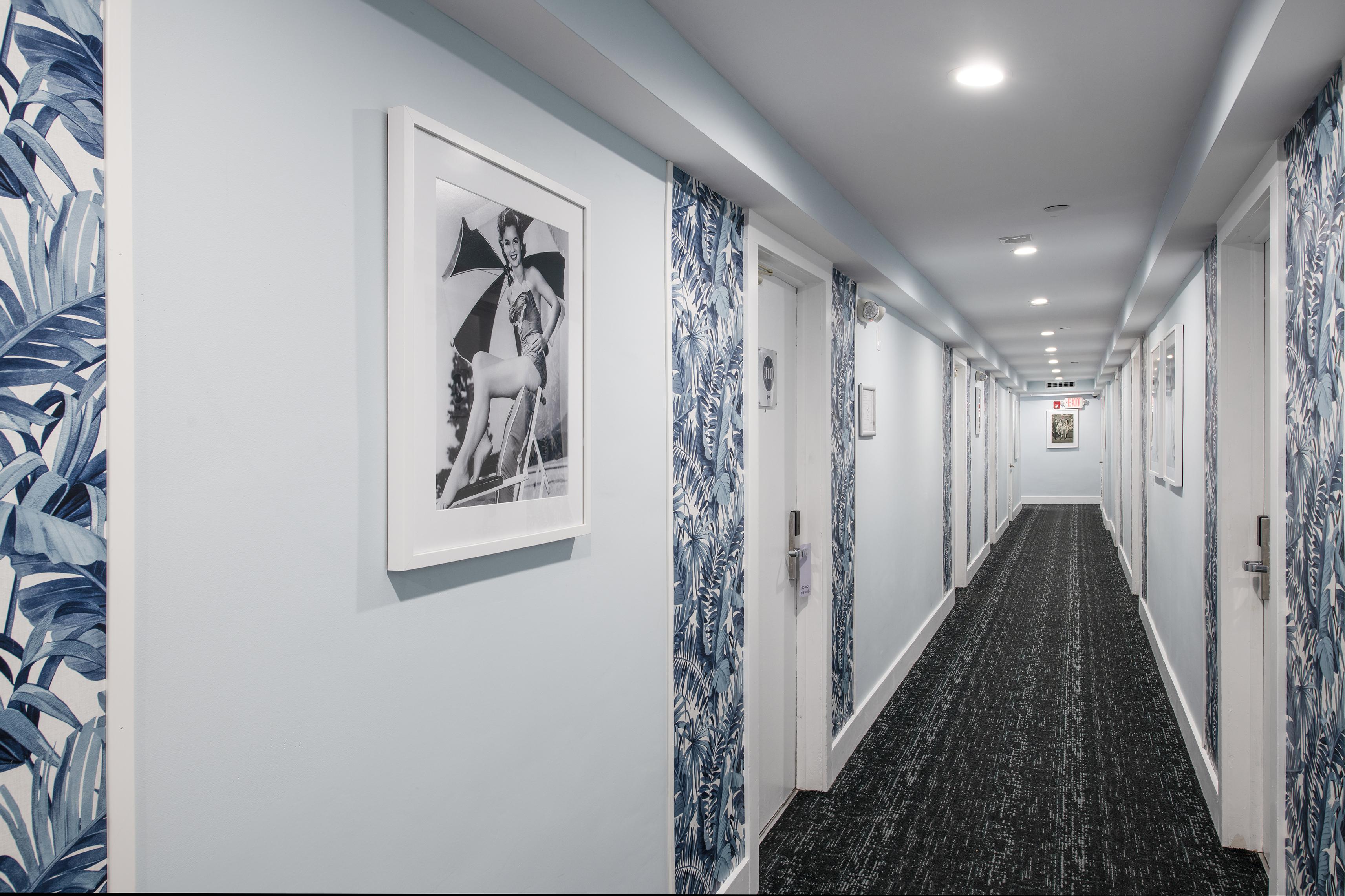 Penguin Hotel Miami Beach