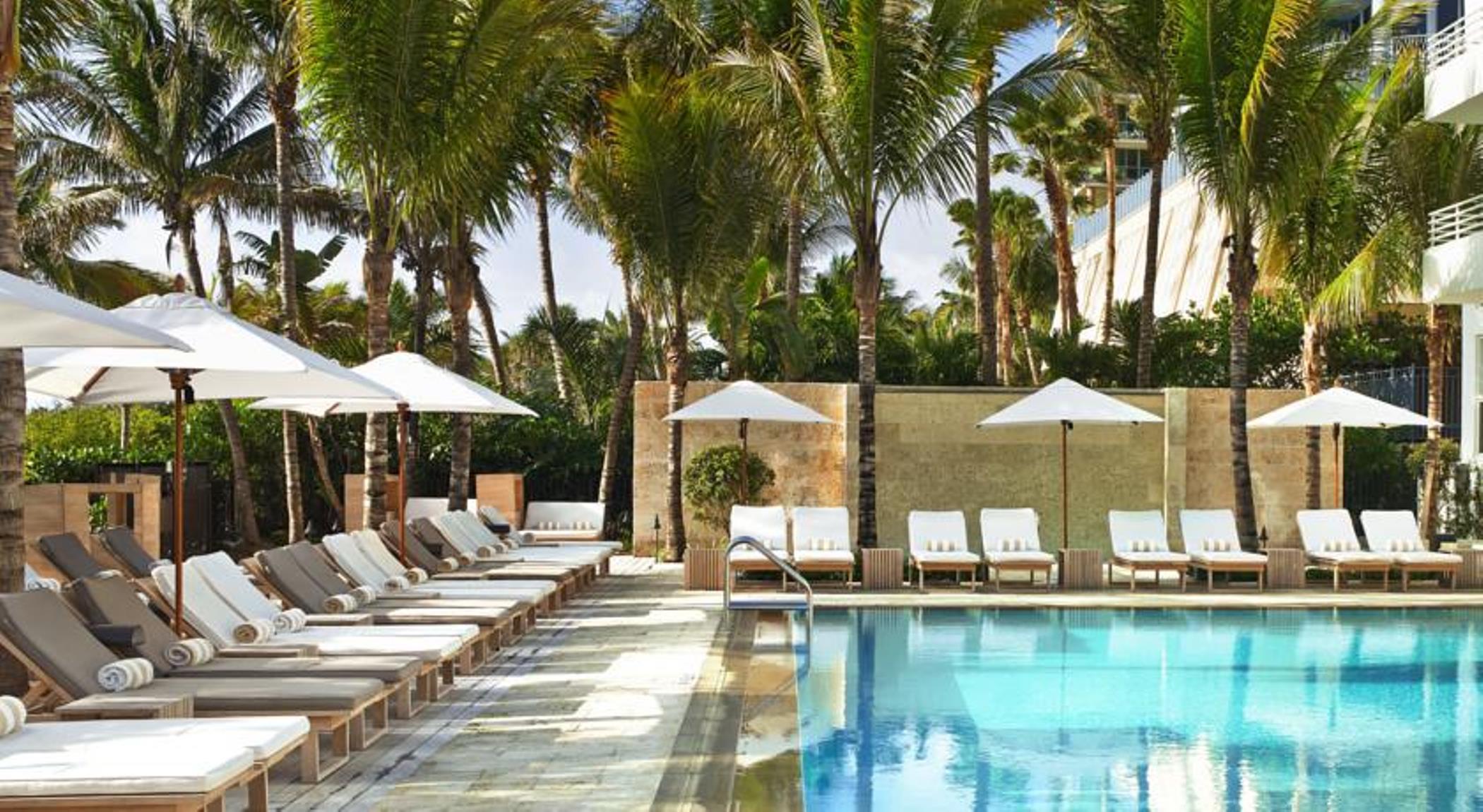 Royal Palm South Miami, A Tribute Portfolio