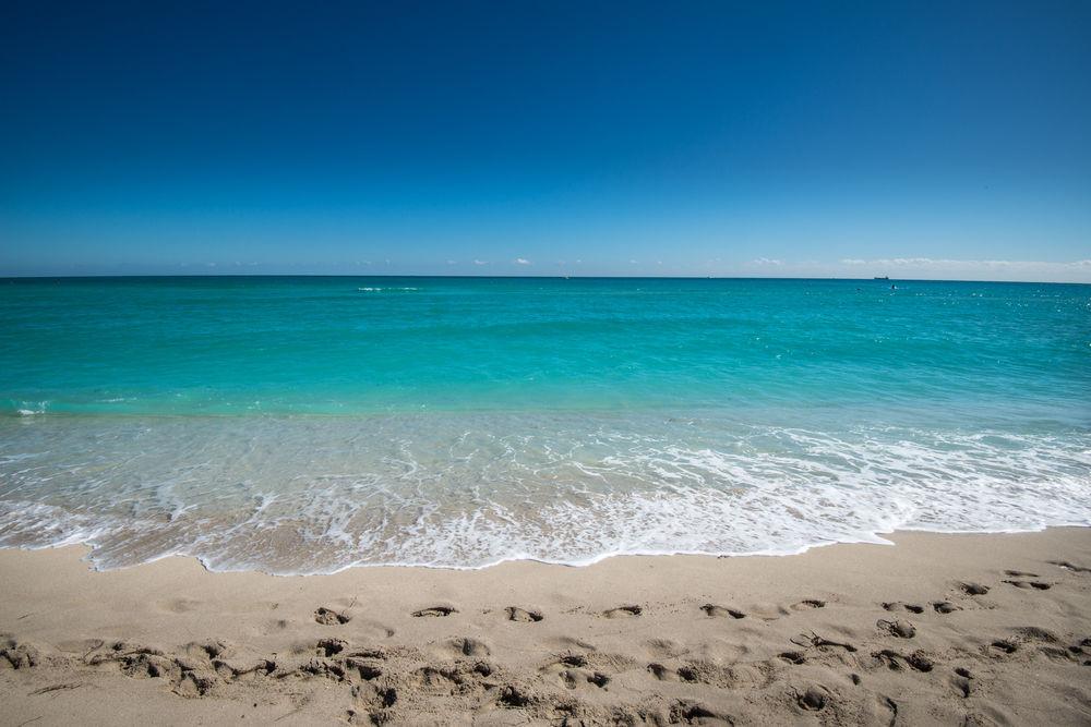 Hotel Ansonia By Plymouth Miami Beach
