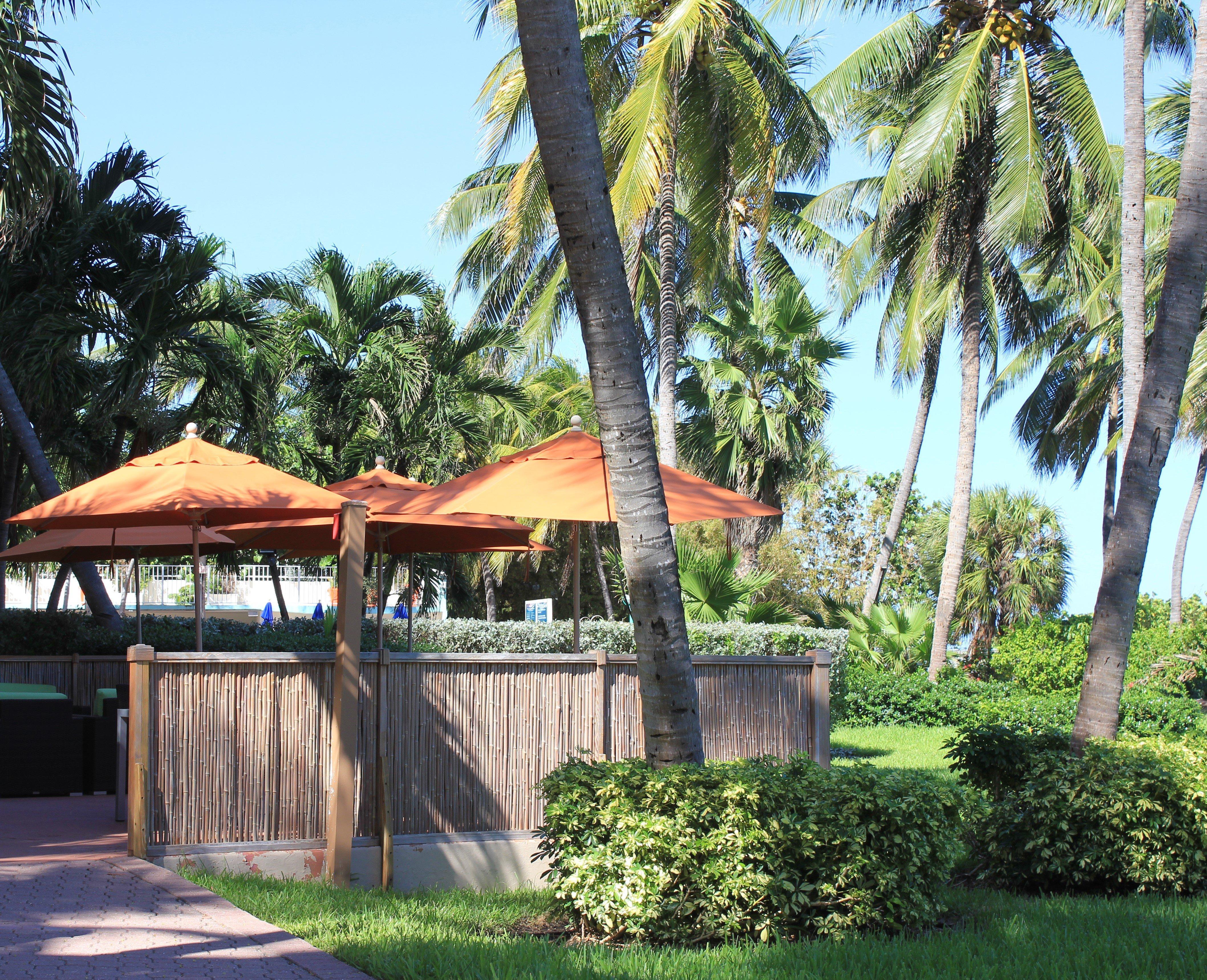 Hotel Miami Beach-oceanfront By Ihg 3*