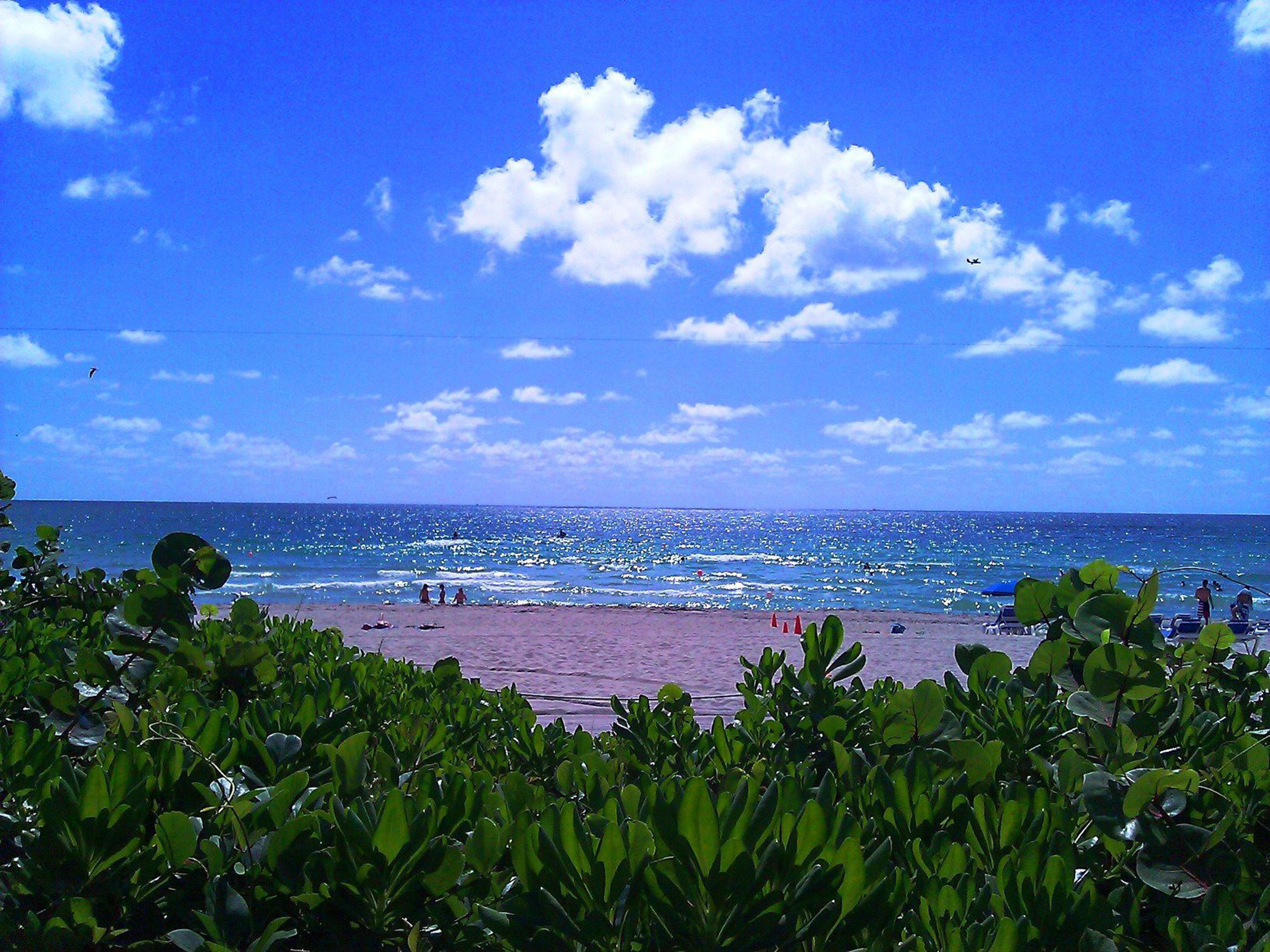 Hotel Miami Beach-oceanfront By Ihg Miami Beach
