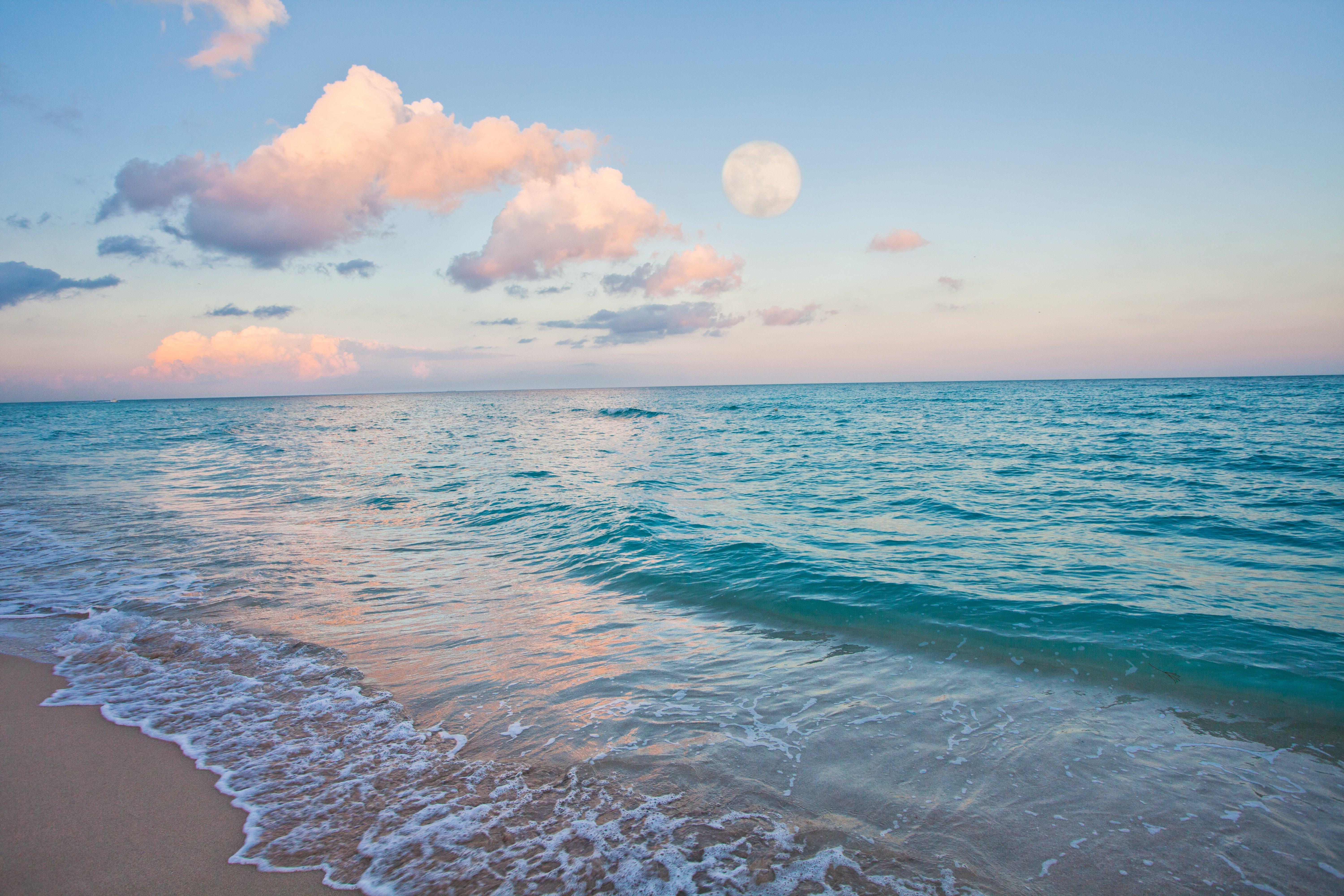 Hotel Miami Beach-oceanfront By Ihg Miami Beach