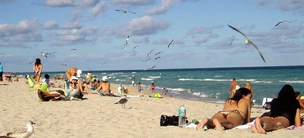 Bikini Hostel, Cafe & Beer Garden (adults Only) Miami Beach