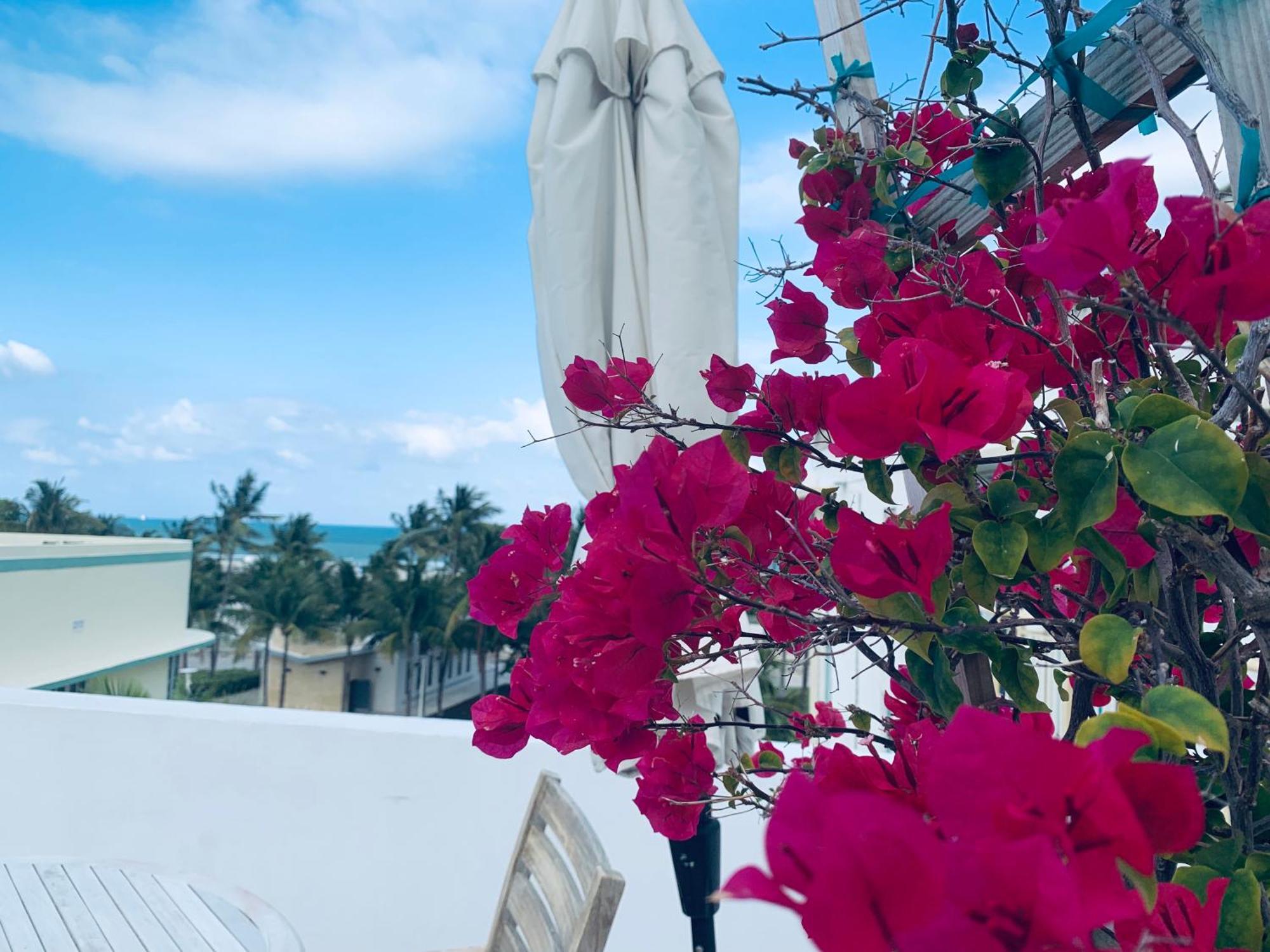 Aparthotel Sunrise Penthouse Ocean View Terrace Few Steps Away Sobe *