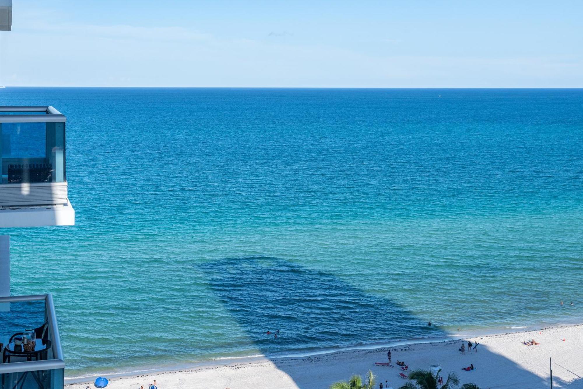 Bluebird Monte Carlo Miami Appartamento Miami Beach