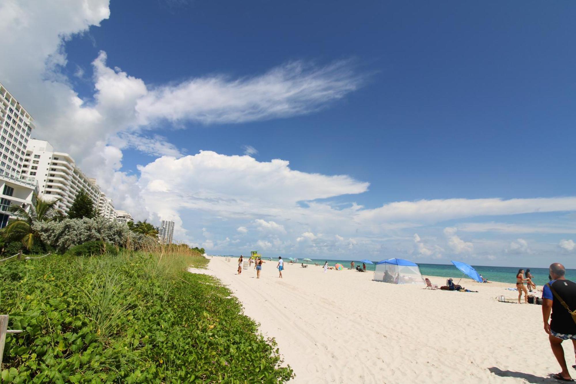 Castle 835 Oceanview On With Pool, Gym, Bars, And Free Parking * Miami Beach