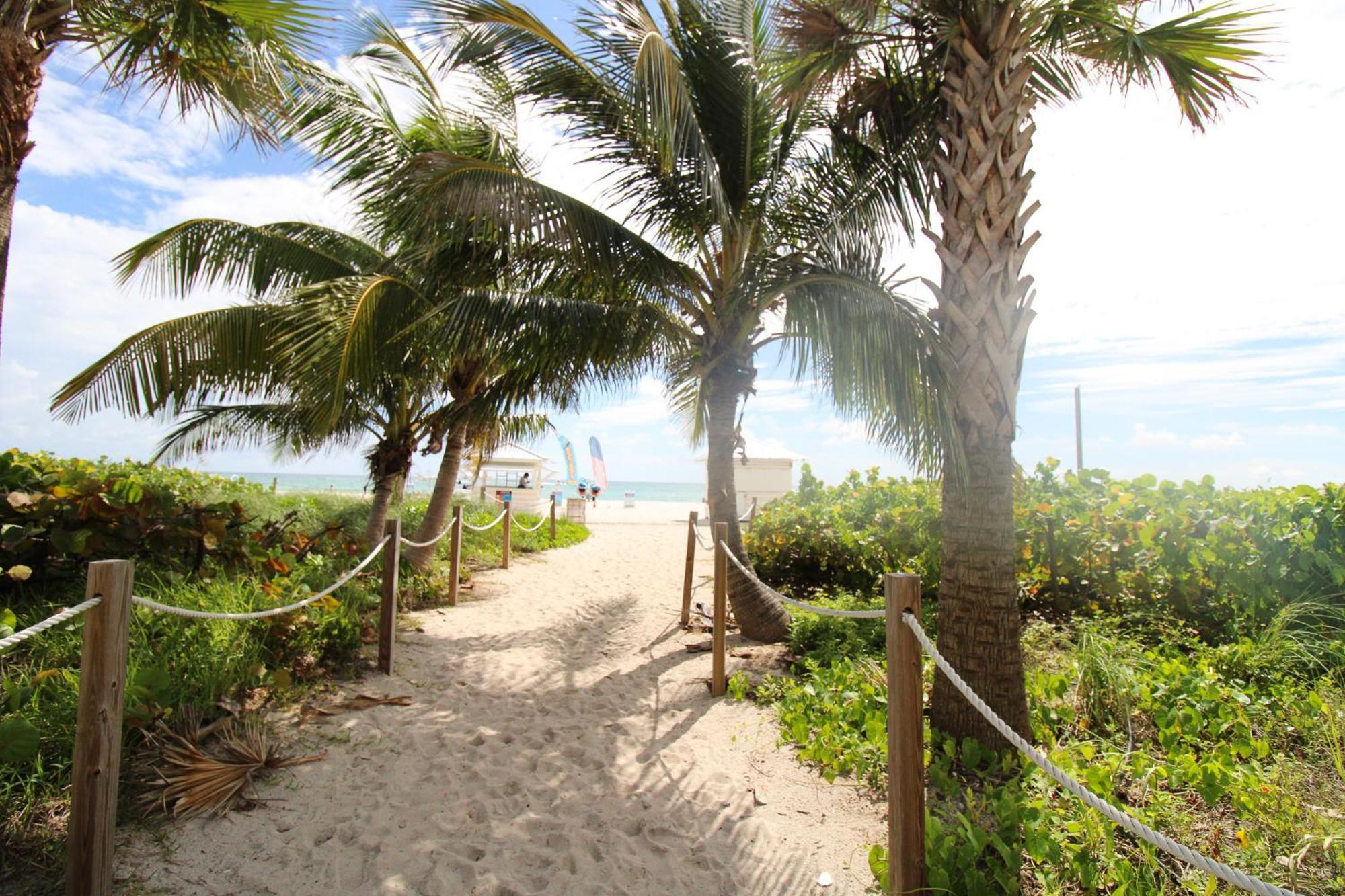 Alexander 1209 Beachfront With 2 Pools , Access, Sauna, Stores