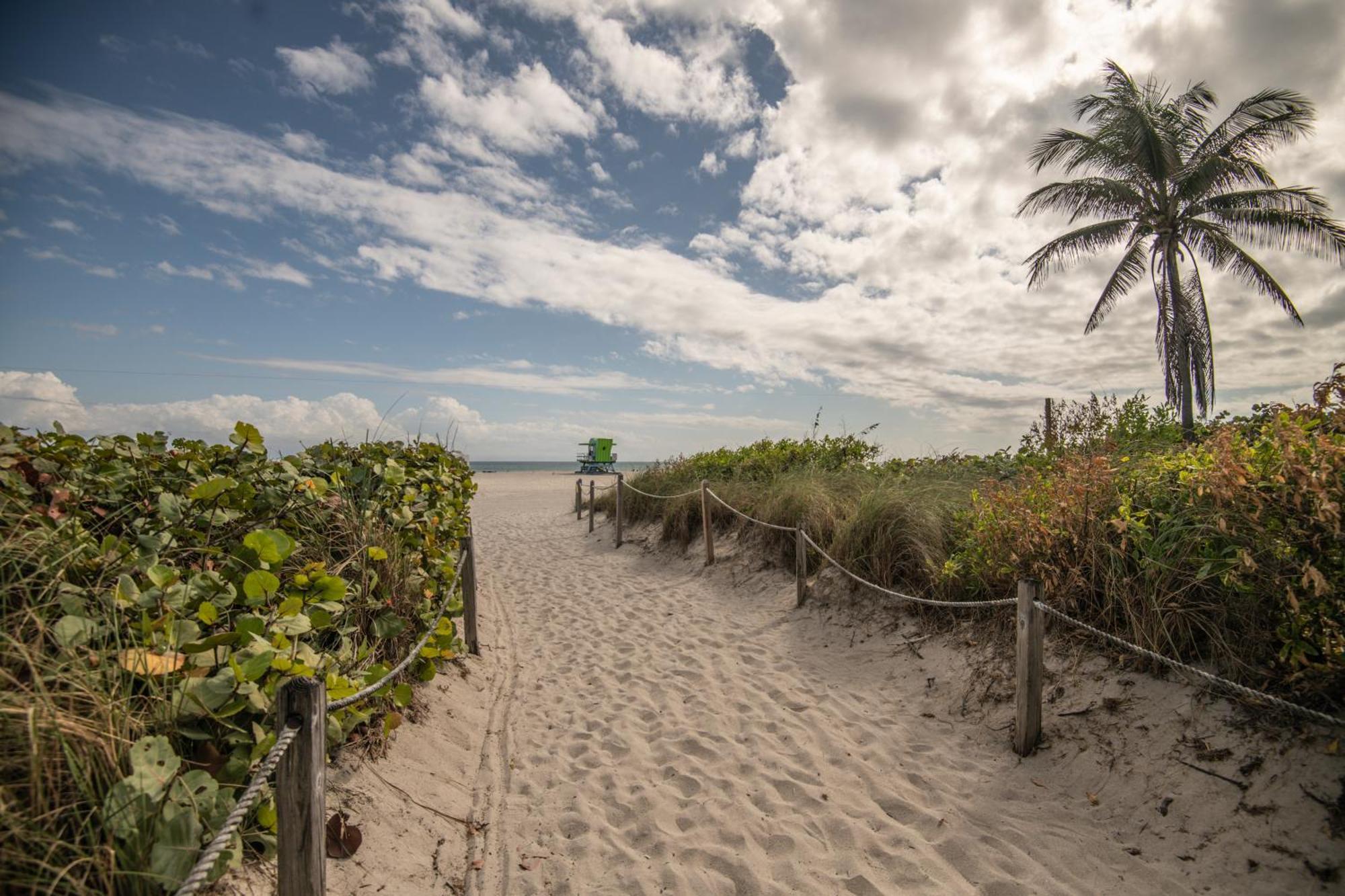 The Cove By Renzzi (adults Only) Hotel Miami Beach