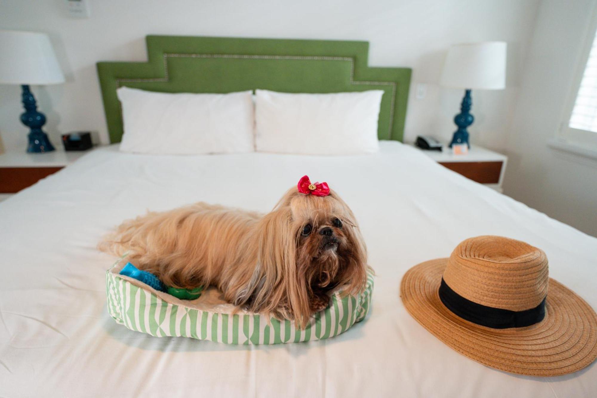 Circa 39 Miami Hotel