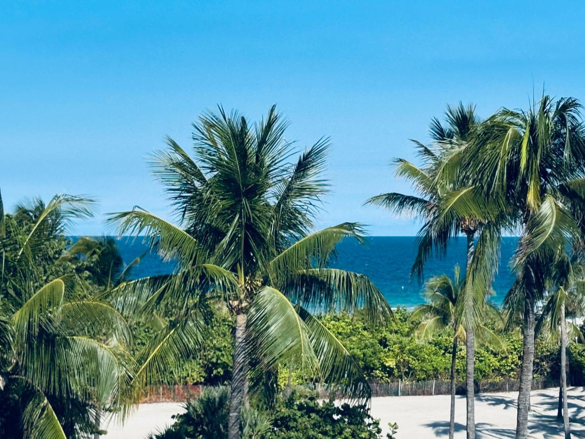 Sunrise Penthouse Ocean View Terrace Few Steps Away Sobe