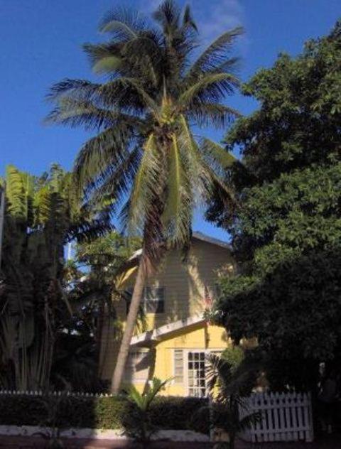 European Guesthouse/gnexx Miami Beach