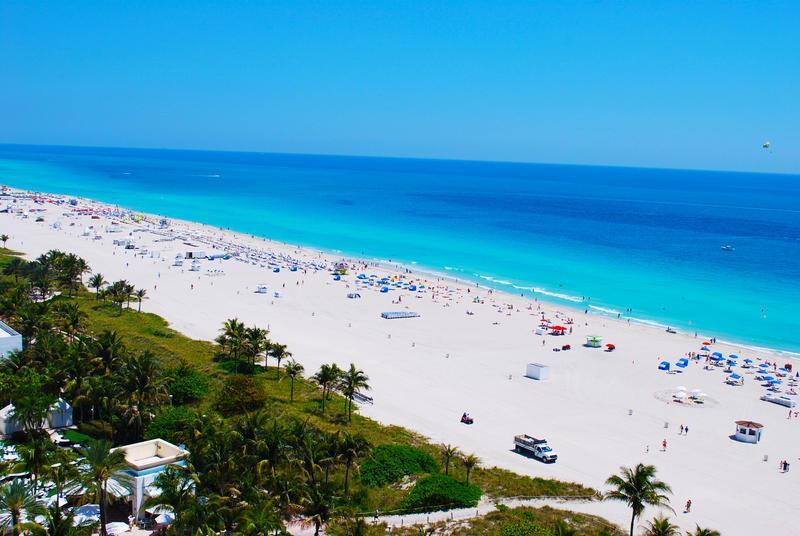 Resort Royal Palm South Miami, A Tribute Portfolio Miami Beach