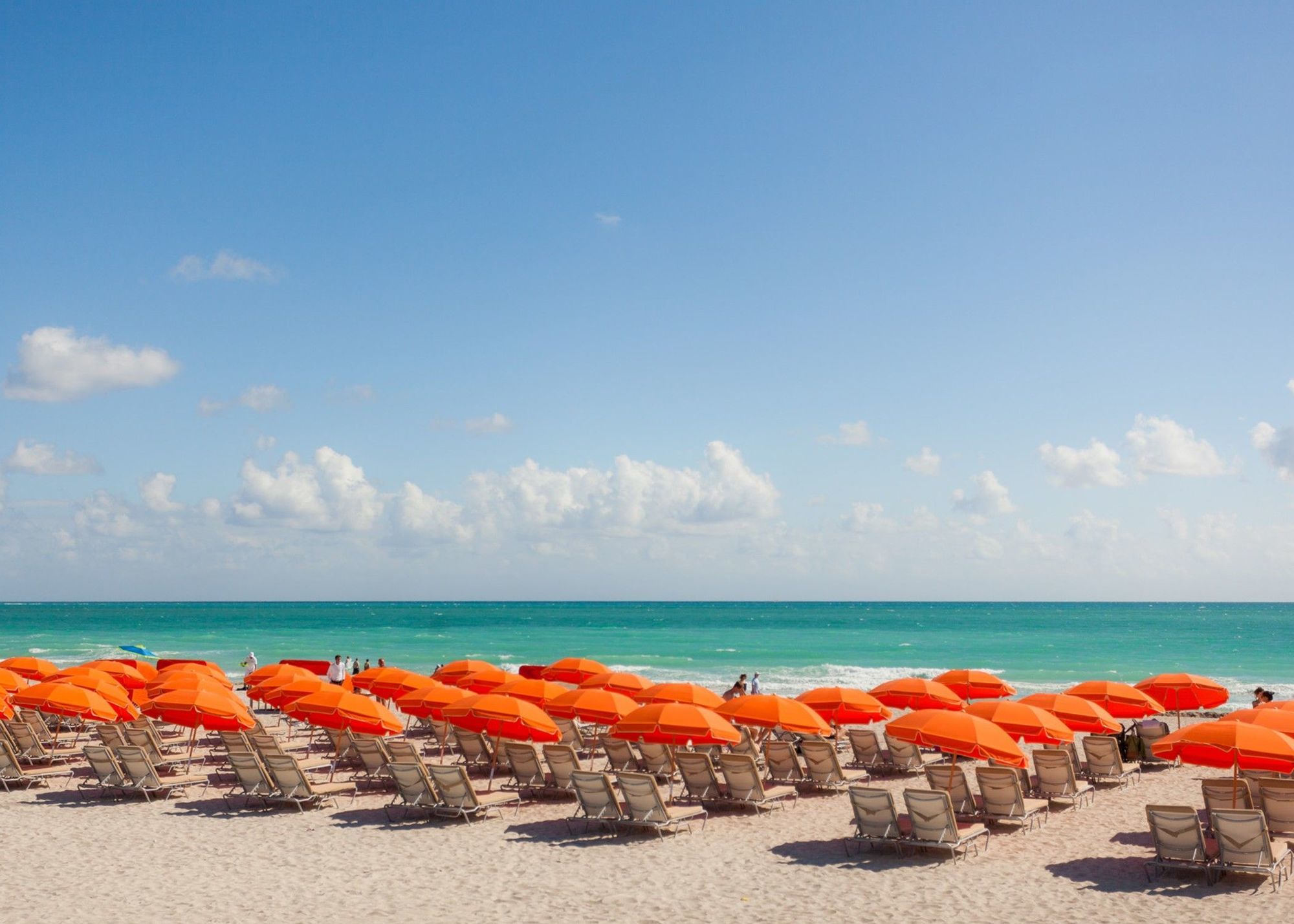 Resort Royal Palm South Miami, A Tribute Portfolio Miami Beach