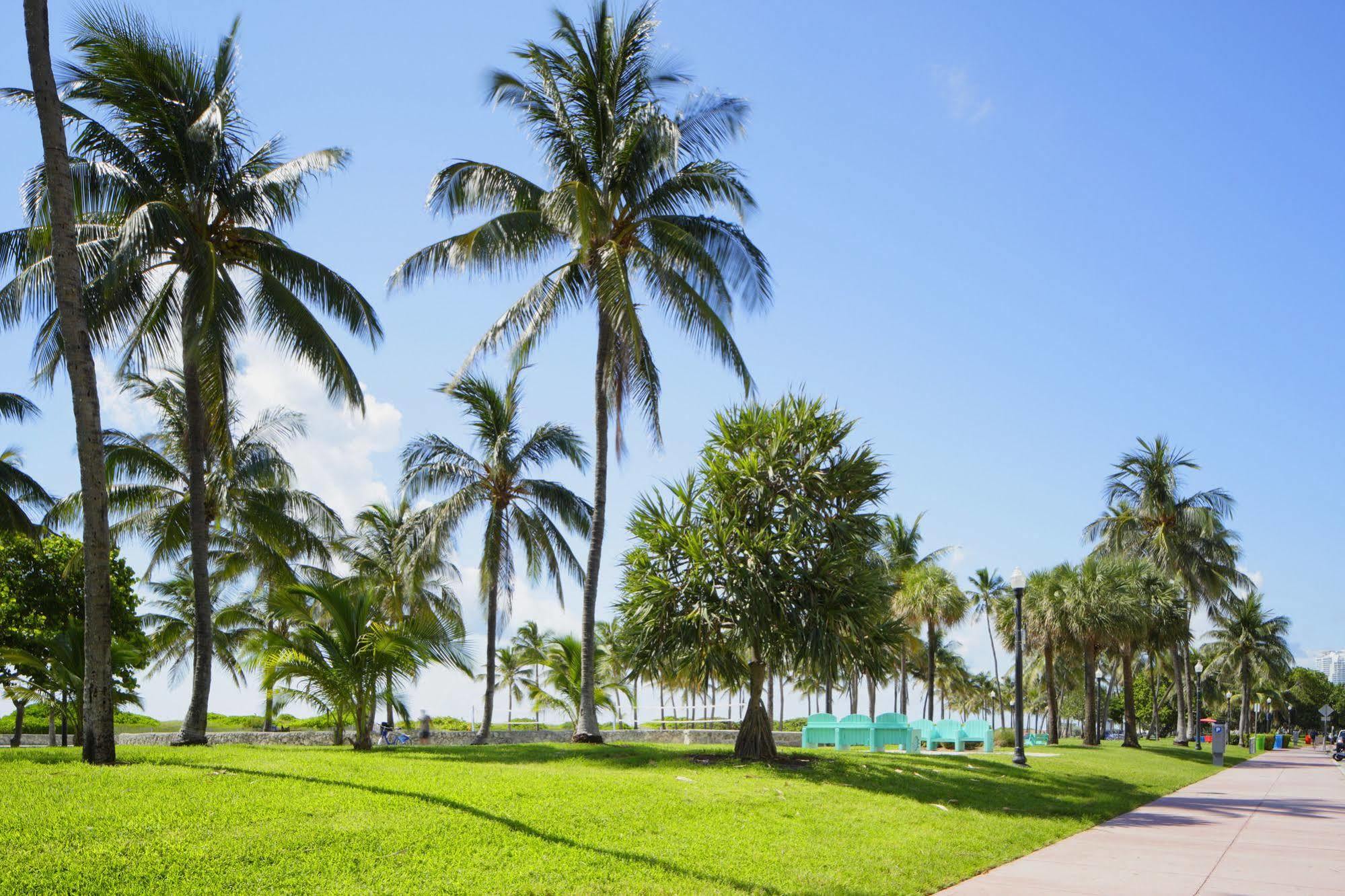 Hotel Ocean Miami Beach