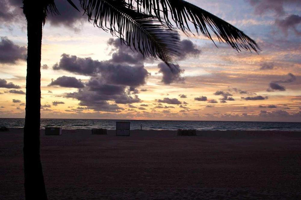 Hilton Grand Vacations At South Miami Beach