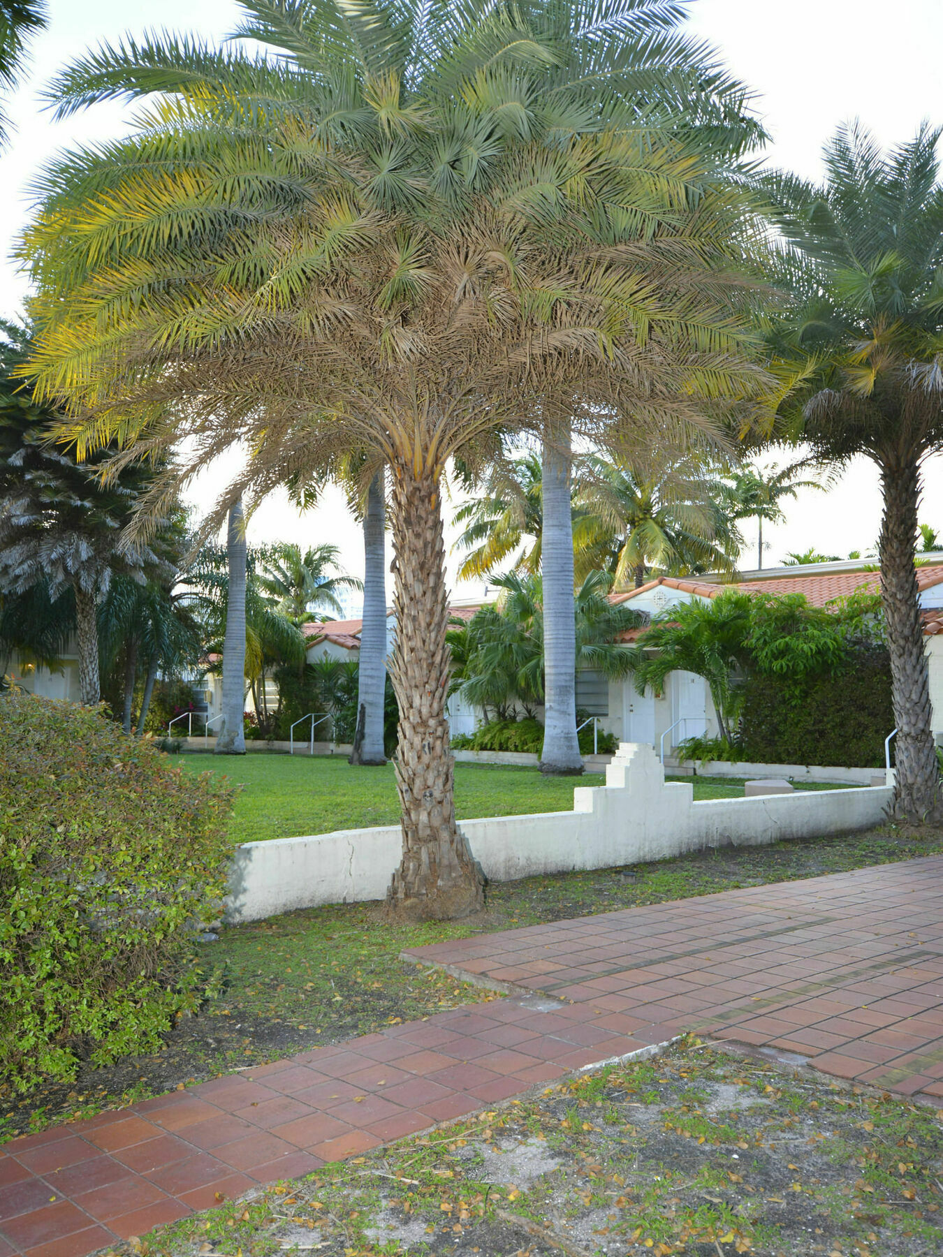 Sunrise Court Apartamento