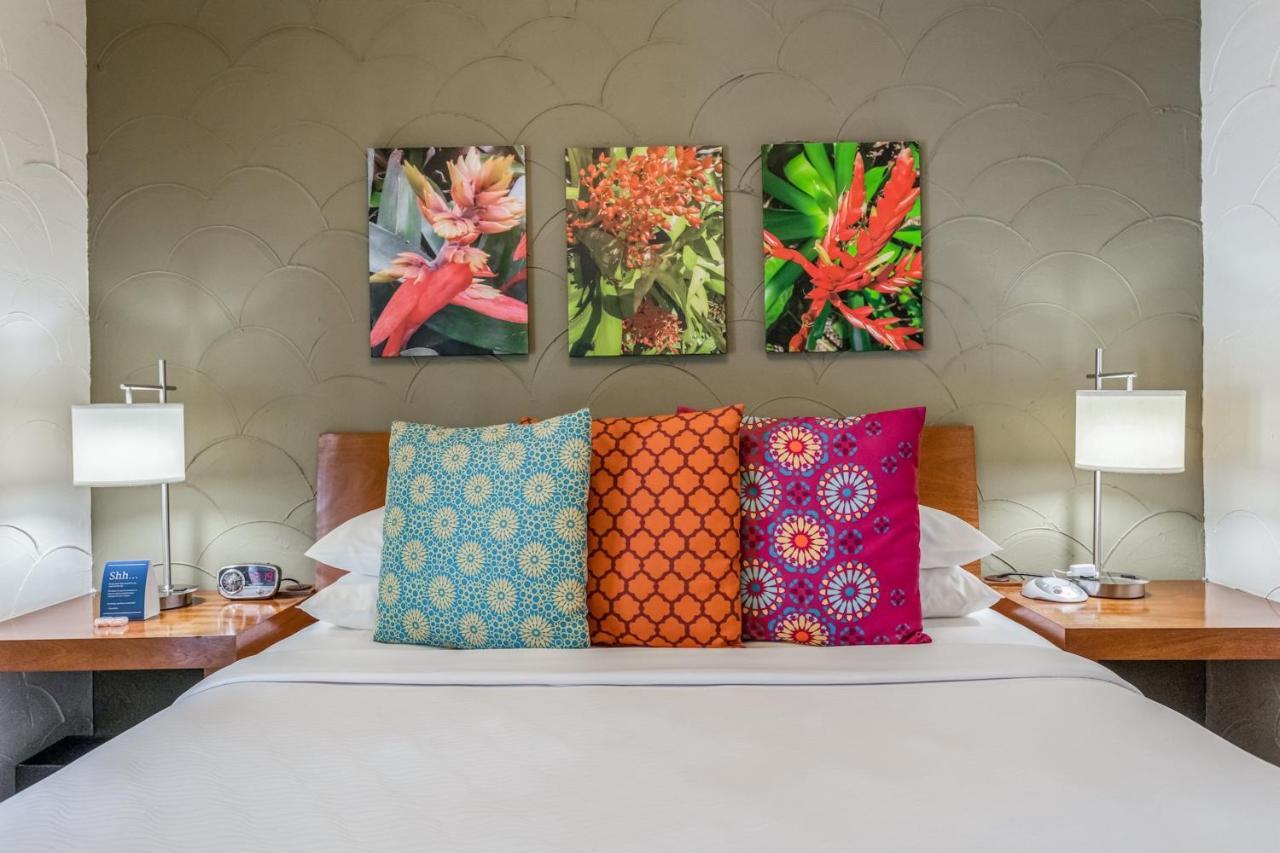 Kasa El Paseo Miami 4* Miami Beach