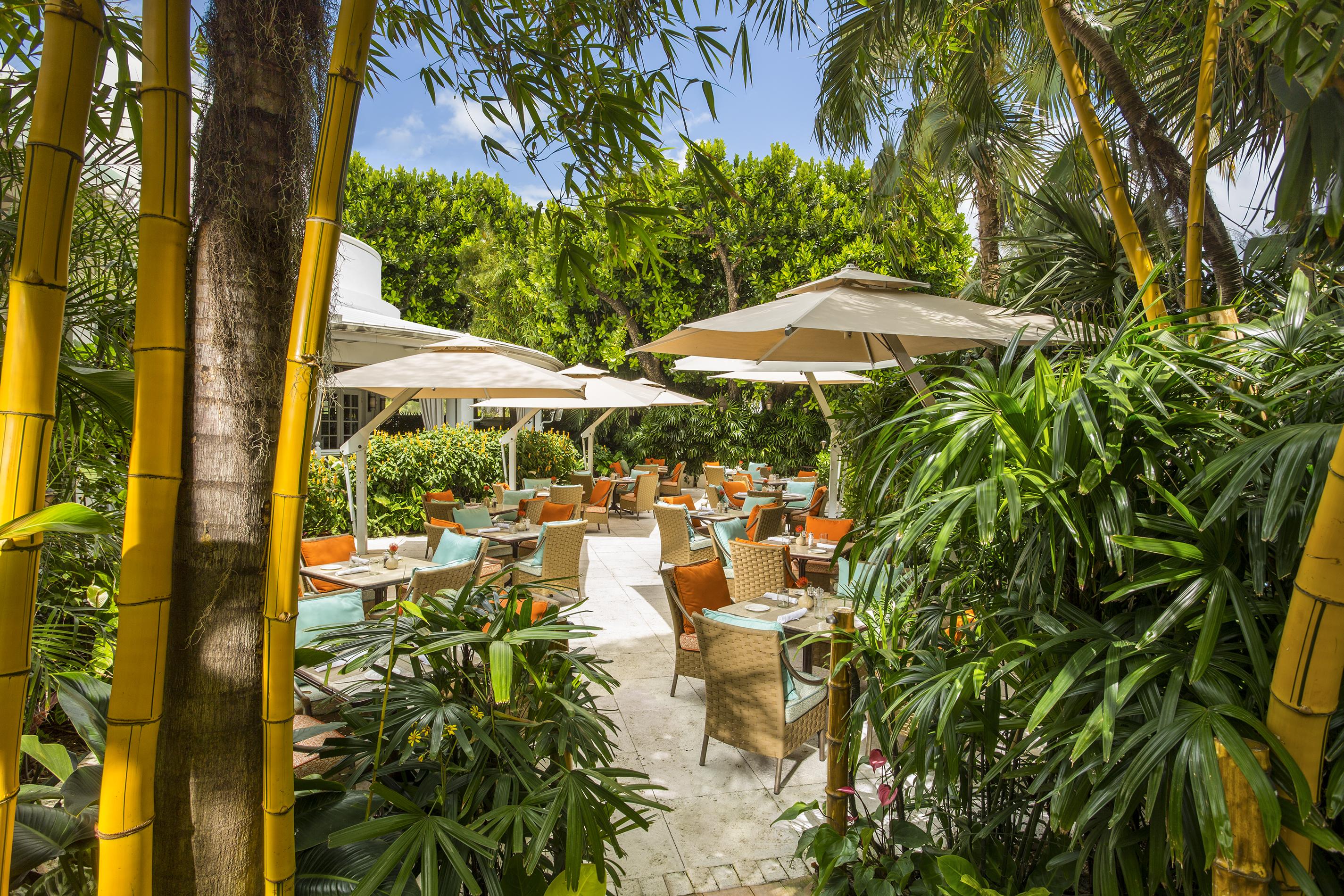 The Palms &