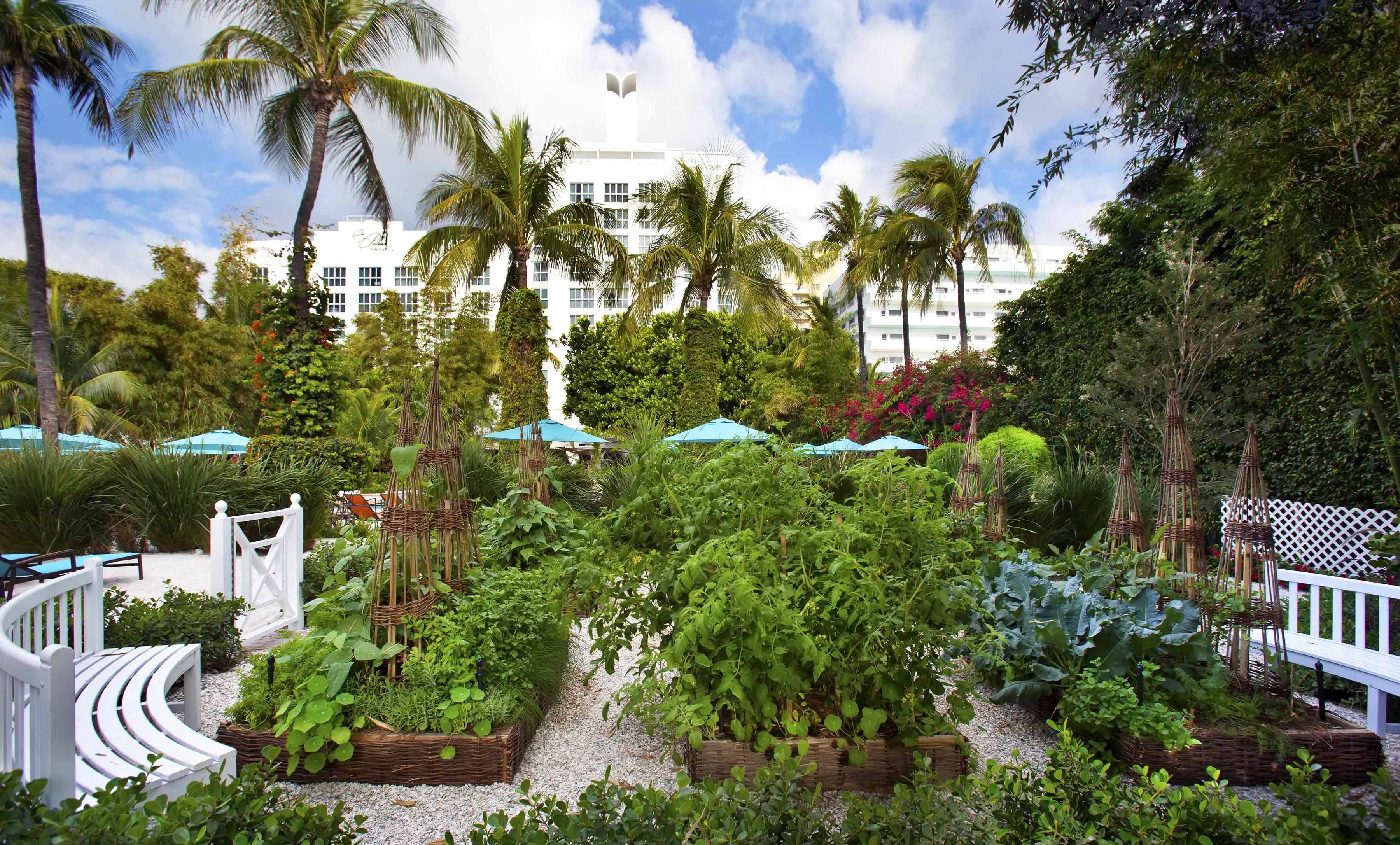 Hotel The Palms & Miami Beach