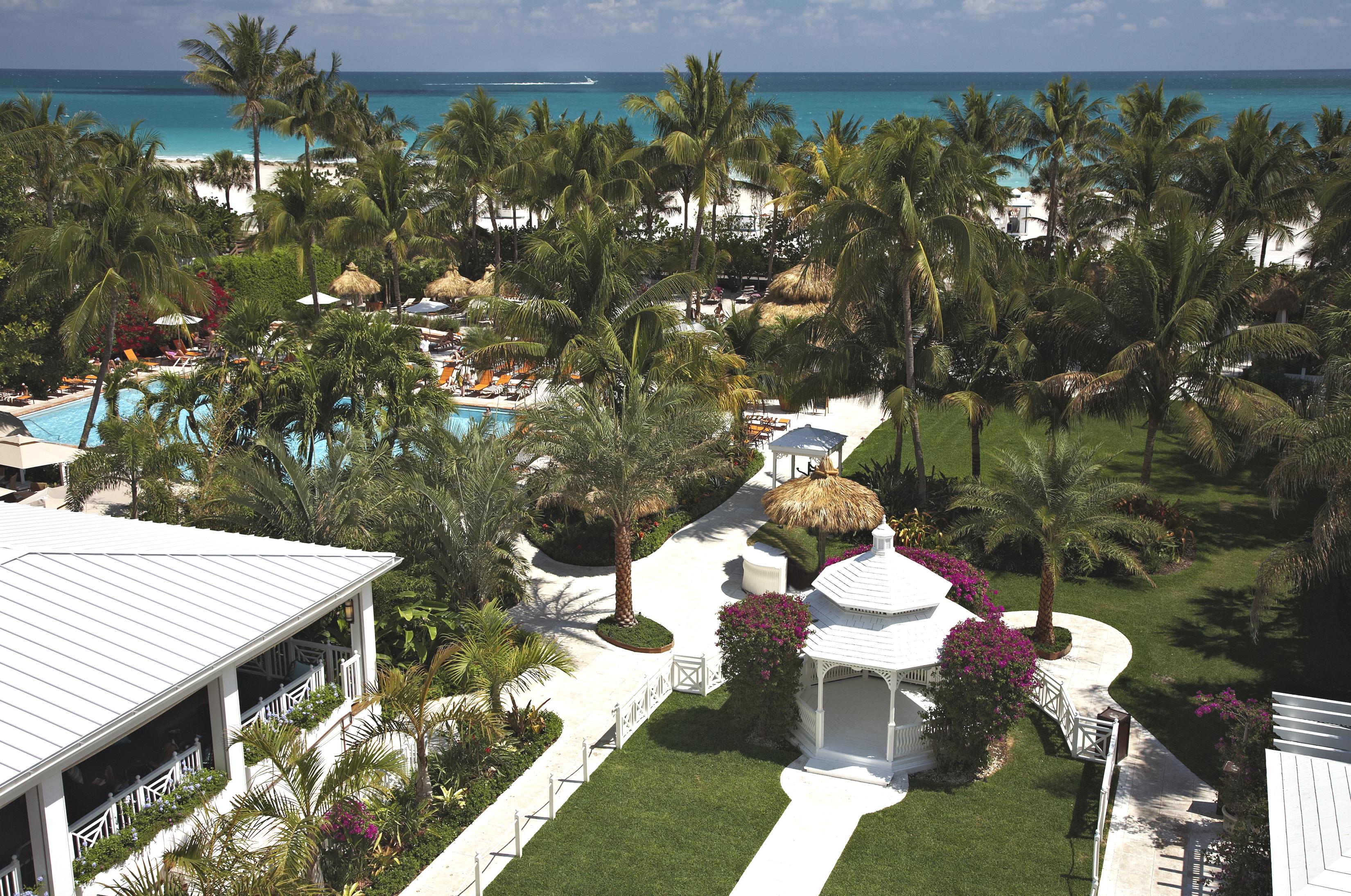 Hotel The Palms & 4*