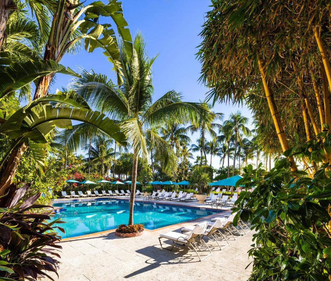 Hotel The Palms & 4*