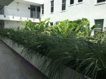 The Meridian Miami By Kasa Living Hotel Miami Beach
