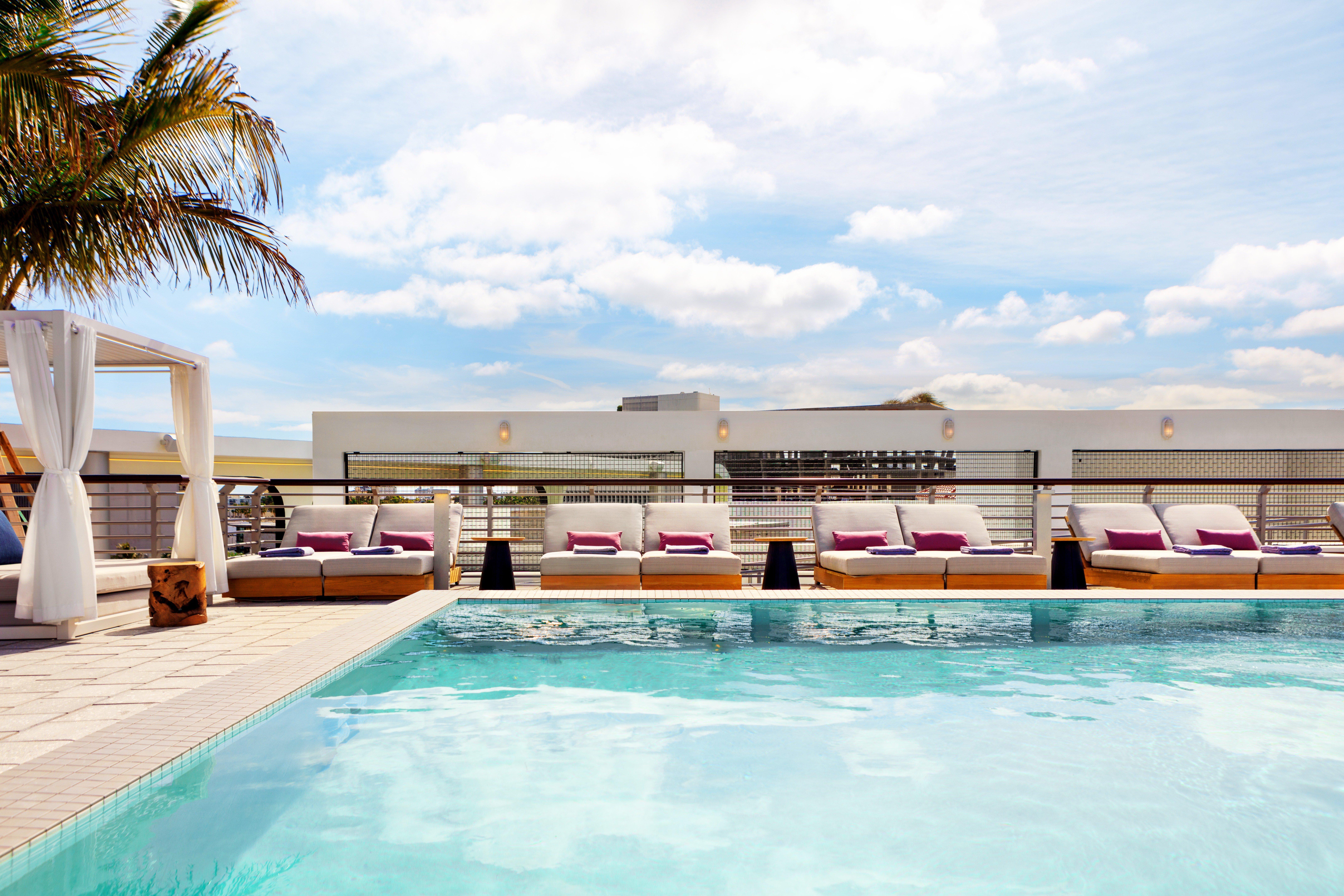 Kimpton - Palomar South By Ihg Hotel