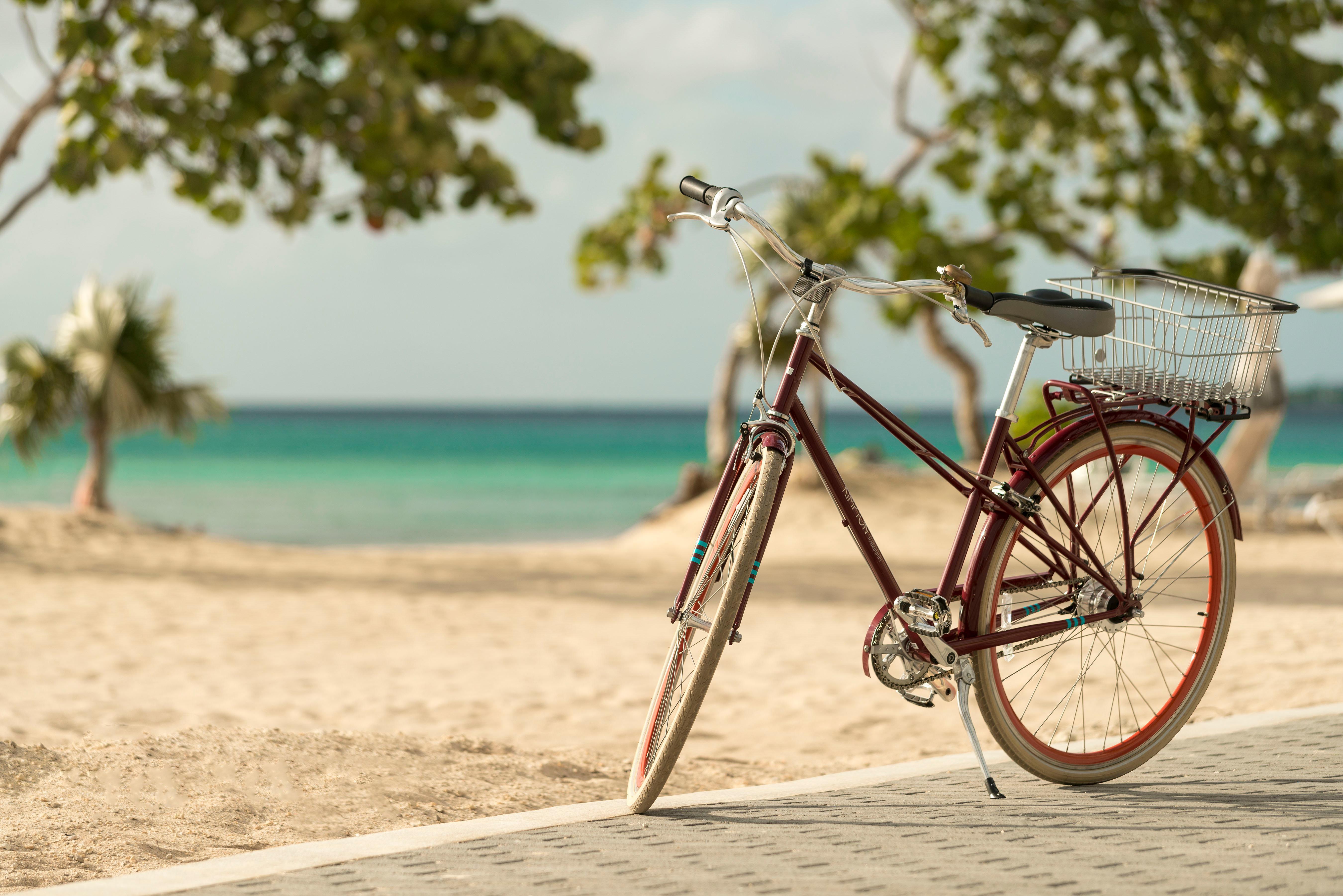 Hotel Kimpton - Palomar South By Ihg Miami Beach