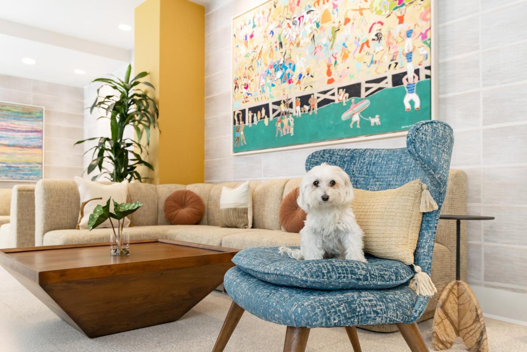 Hotel Continental Miami Beach, Tapestry Collection By Hilton 4*