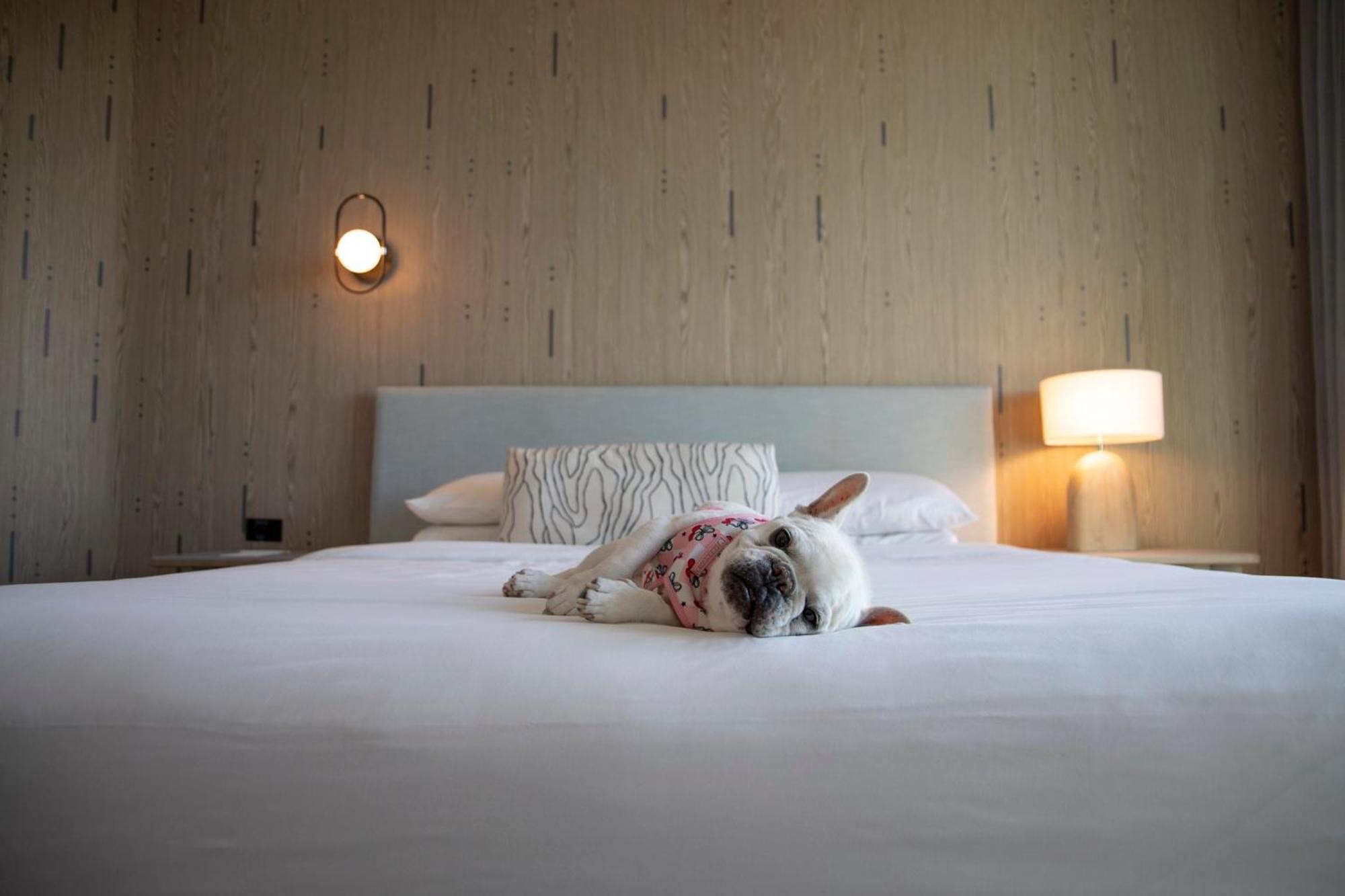 Hotel Kimpton - Palomar South By Ihg Miami Beach