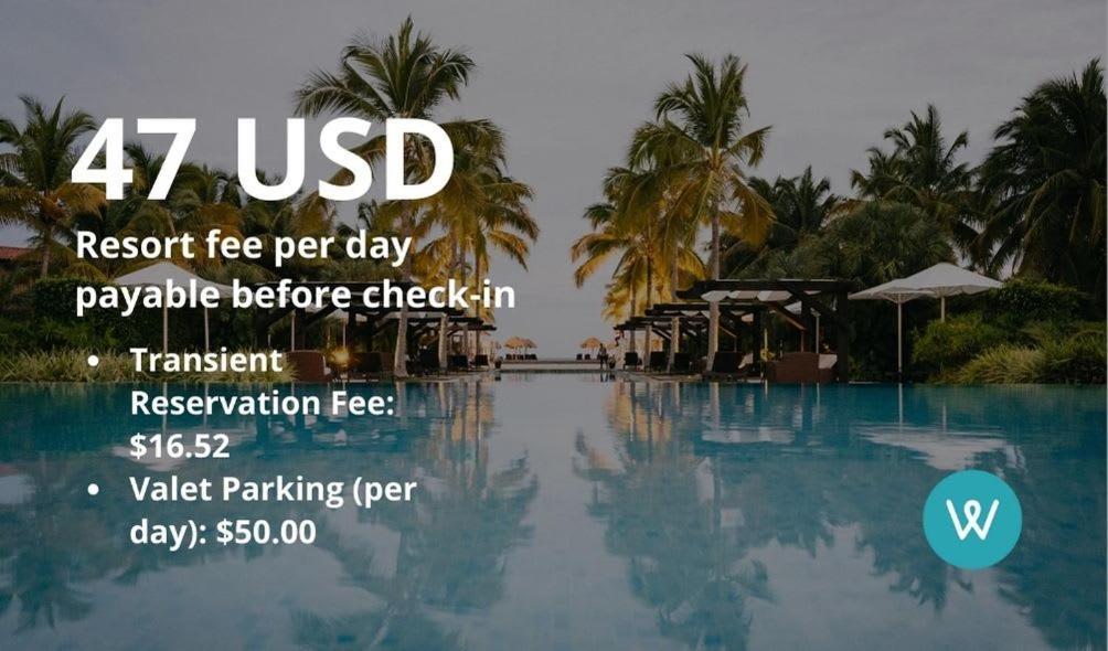 Luxury At Tresor Miami Miami Beach