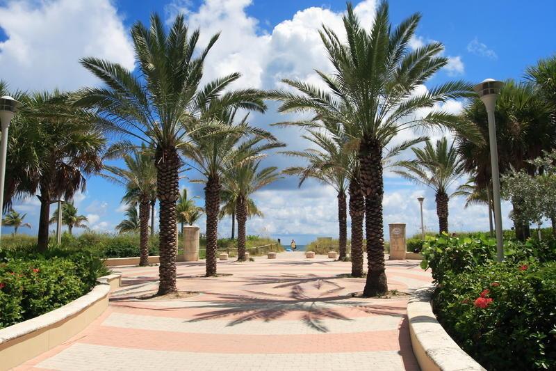 Resort Royal Palm South Miami, A Tribute Portfolio 4*