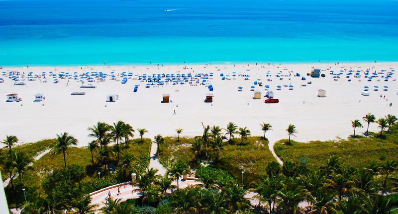 Resort Royal Palm South Miami, A Tribute Portfolio