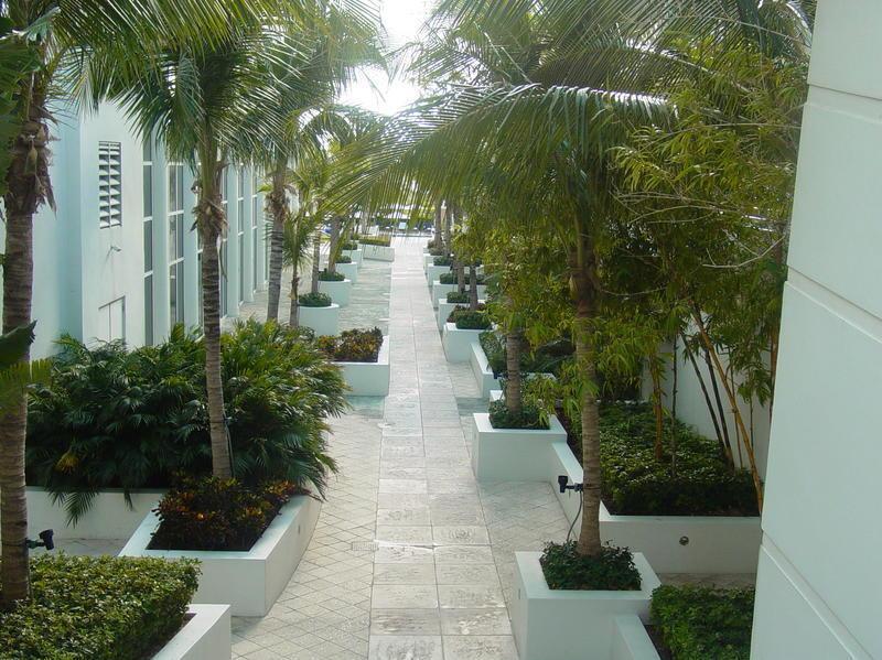 Resort Royal Palm South Miami, A Tribute Portfolio