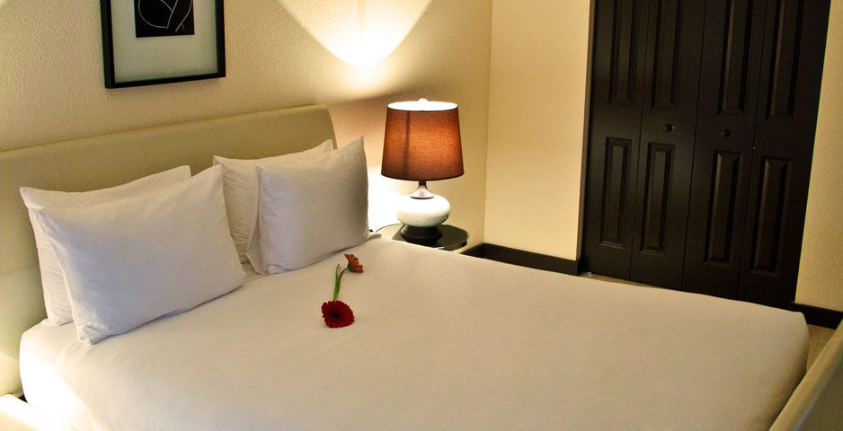 Tradewinds Miami 3*